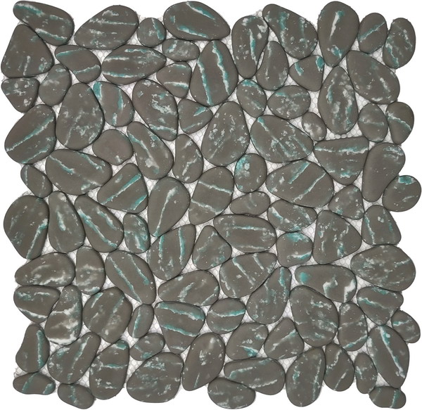 6GYGP1009