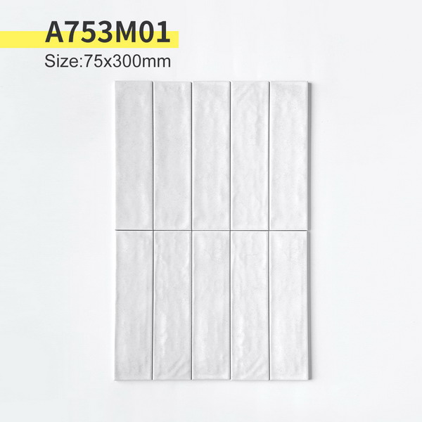A753M01