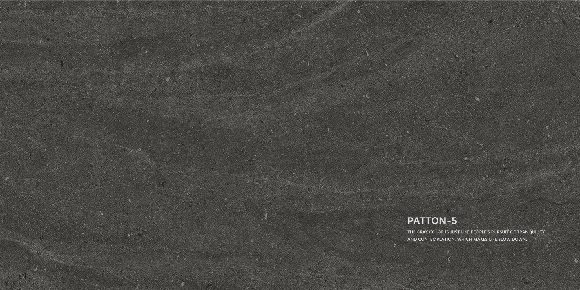 Patton_页面_11