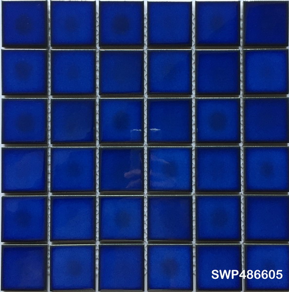 SWP486605